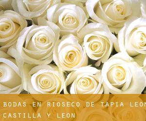 bodas en Rioseco de Tapia (León, Castilla y León)