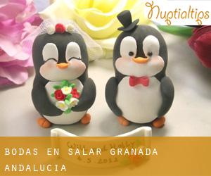 bodas en Salar (Granada, Andalucía)