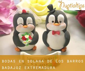 bodas en Solana de los Barros (Badajoz, Extremadura) bodas en Solana de los Barros (Badajoz, Extremadura)