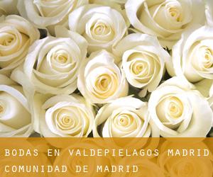 bodas en Valdepiélagos (Madrid, Comunidad de Madrid)