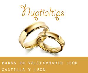 bodas en Valdesamario (León, Castilla y León)