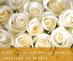 bodas en Villaconejos (Madrid, Comunidad de Madrid)