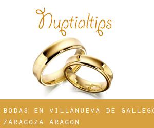 bodas en Villanueva de Gállego (Zaragoza, Aragón)