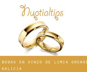 bodas en Xinzo de Limia (Orense, Galicia)