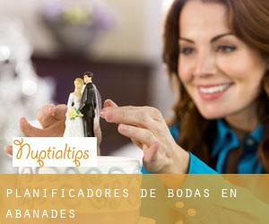 Planificadores de bodas en Abánades