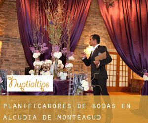 Planificadores de bodas en Alcudia de Monteagud