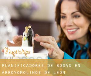 Planificadores de bodas en Arroyomolinos de León