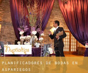 Planificadores de bodas en Aspariegos