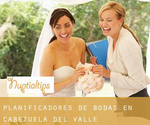 Planificadores de bodas en Cabezuela del Valle