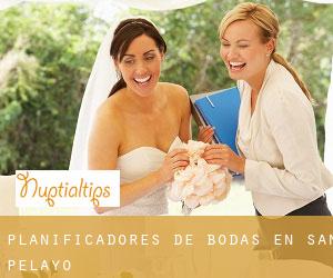 Planificadores de bodas en San Pelayo