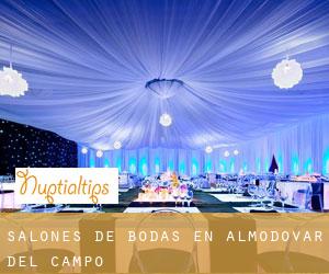 Salones de bodas en Almodóvar del Campo