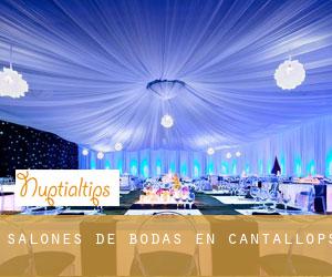 Salones de bodas en Cantallops
