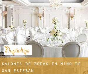 Salones de bodas en Miño de San Esteban Salones de bodas en Miño de San Esteban