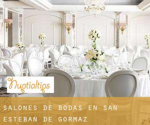 Salones de bodas en San Esteban de Gormaz Salones de bodas en San Esteban de Gormaz