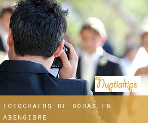 Fotógrafos de bodas en Abengibre