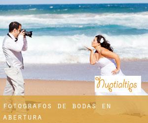 Fotógrafos de bodas en Abertura