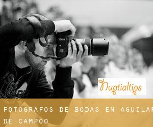 Fotógrafos de bodas en Aguilar de Campóo