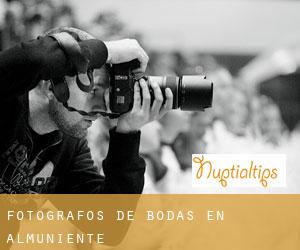 Fotógrafos de bodas en Almuniente