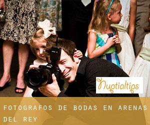 Fotógrafos de bodas en Arenas del Rey