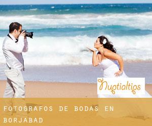 Fotógrafos de bodas en Borjabad