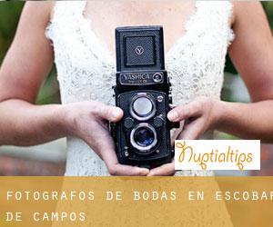 Fotógrafos de bodas en Escobar de Campos