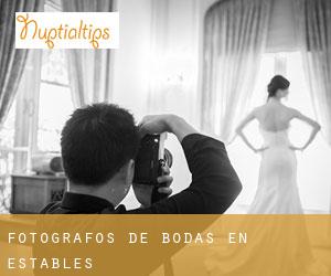 Fotógrafos de bodas en Establés