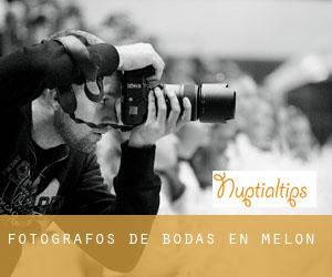 Fotógrafos de bodas en Melón