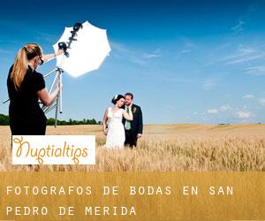 Fotógrafos de bodas en San Pedro de Mérida