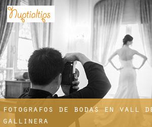 Fotógrafos de bodas en Vall de Gallinera