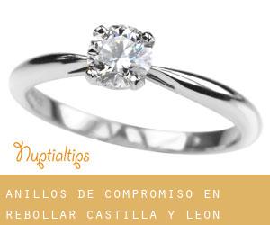 Anillos de compromiso en Rebollar (Castilla y León)