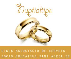 Eines Associacio de Serveis Socio-Educatius (Sant Adrià de Besòs)