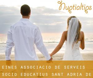 Eines Associacio de Serveis Socio-Educatius (Sant Adrià de Besòs)