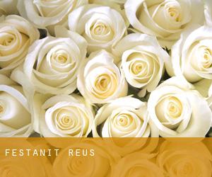 Festanit (Reus)