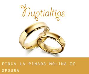 Finca La Pinada (Molina de Segura)