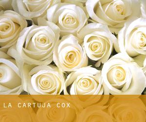 La Cartuja (Cox)